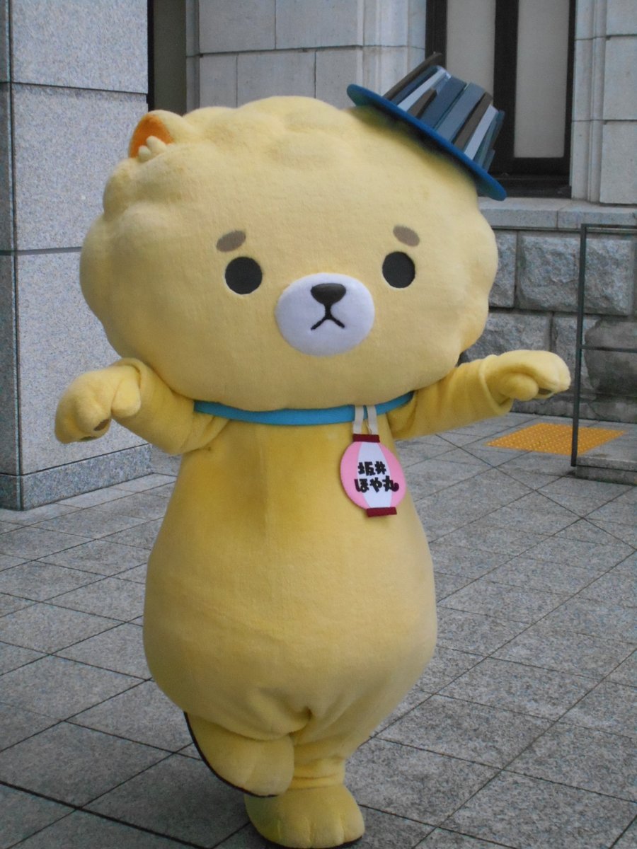 polopolo0815's tweet photo. ほや丸ちゃん、そのポーズはもしかして、ぐんまちゃんの鶴舞うポーズかしら・・・☺️
　#ご当地キャラカーニバル　#坂井ほや丸 https://t.co/m2jB52hiqa