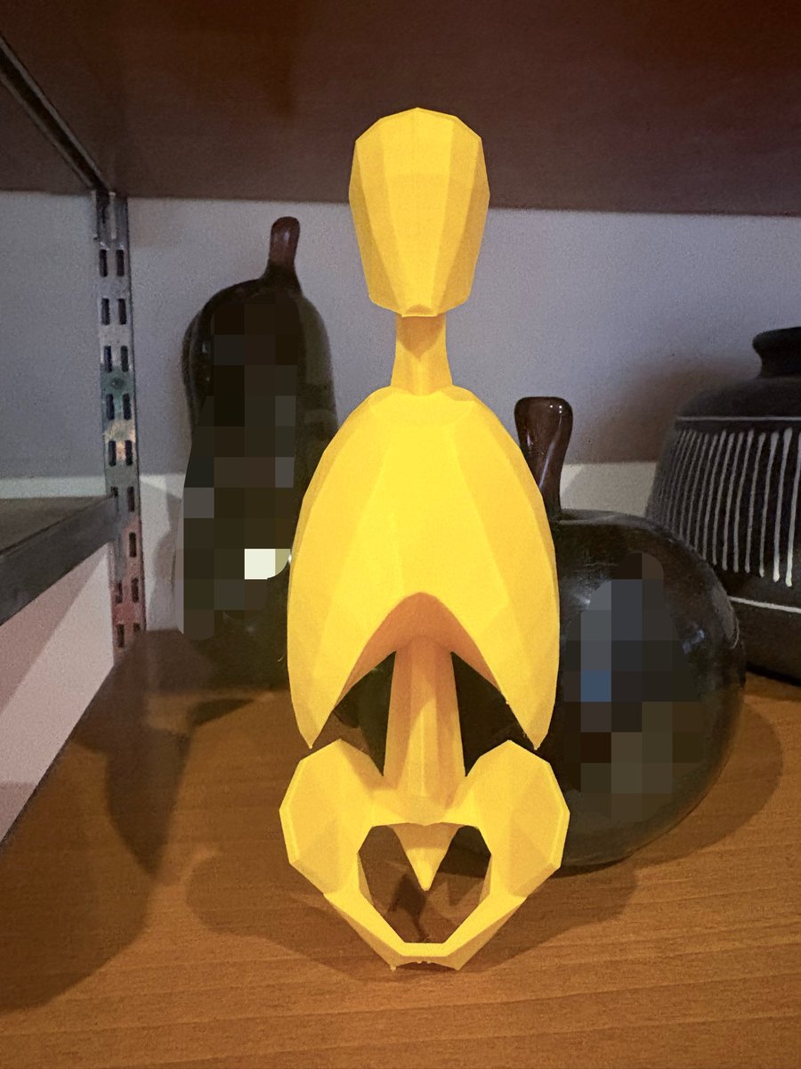 KNCW___'s tweet photo. 3Dプリンター製の骨格模型買ってみた（男性モデル）
胸郭のボリューム感とか体の稜線が手で触りながら分かるの良いね〜🥹
いままでの想像より胸郭はデカいということがわかった https://t.co/zj6iAB5MpP