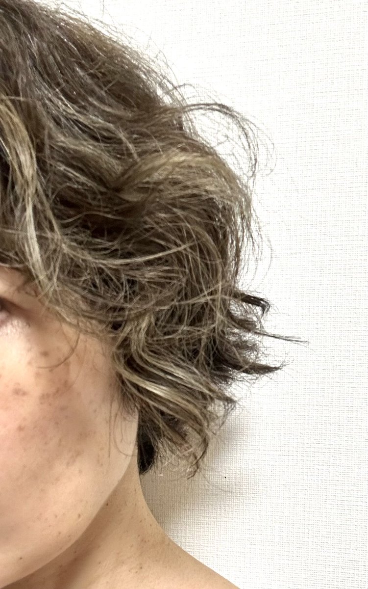 mori_jyumin's tweet photo. 雨続きなのでとりあえずリファがすごいってことを記します。 https://t.co/F1pZZvzMvO