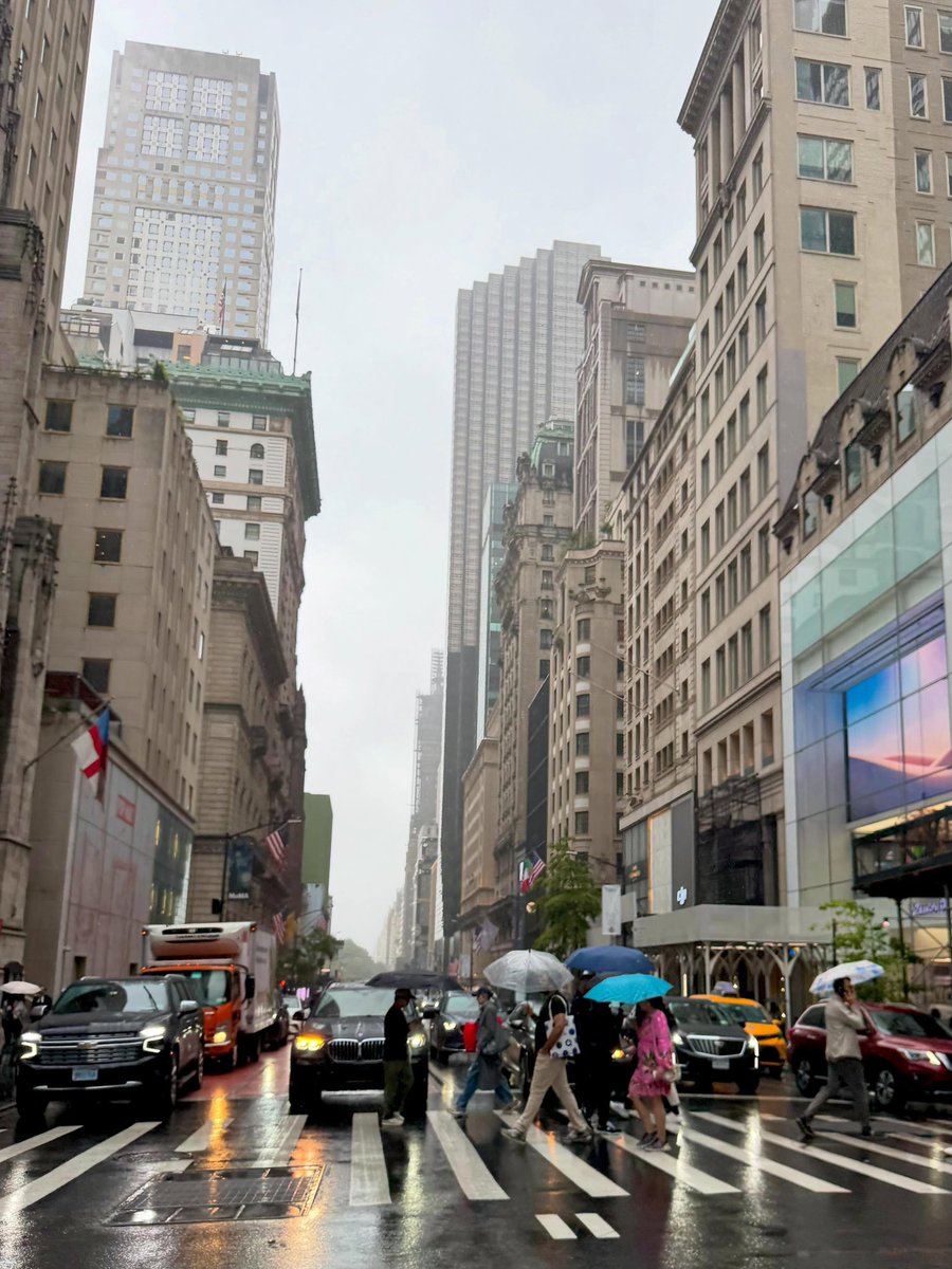 SeascapeNature's tweet photo. A rainy day in New York 🇺🇸 https://t.co/tAN0j8TVMm