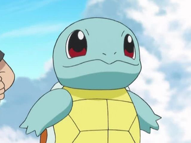 irohasbff's tweet photo. real life squirtle https://t.co/lVrZadSHnB