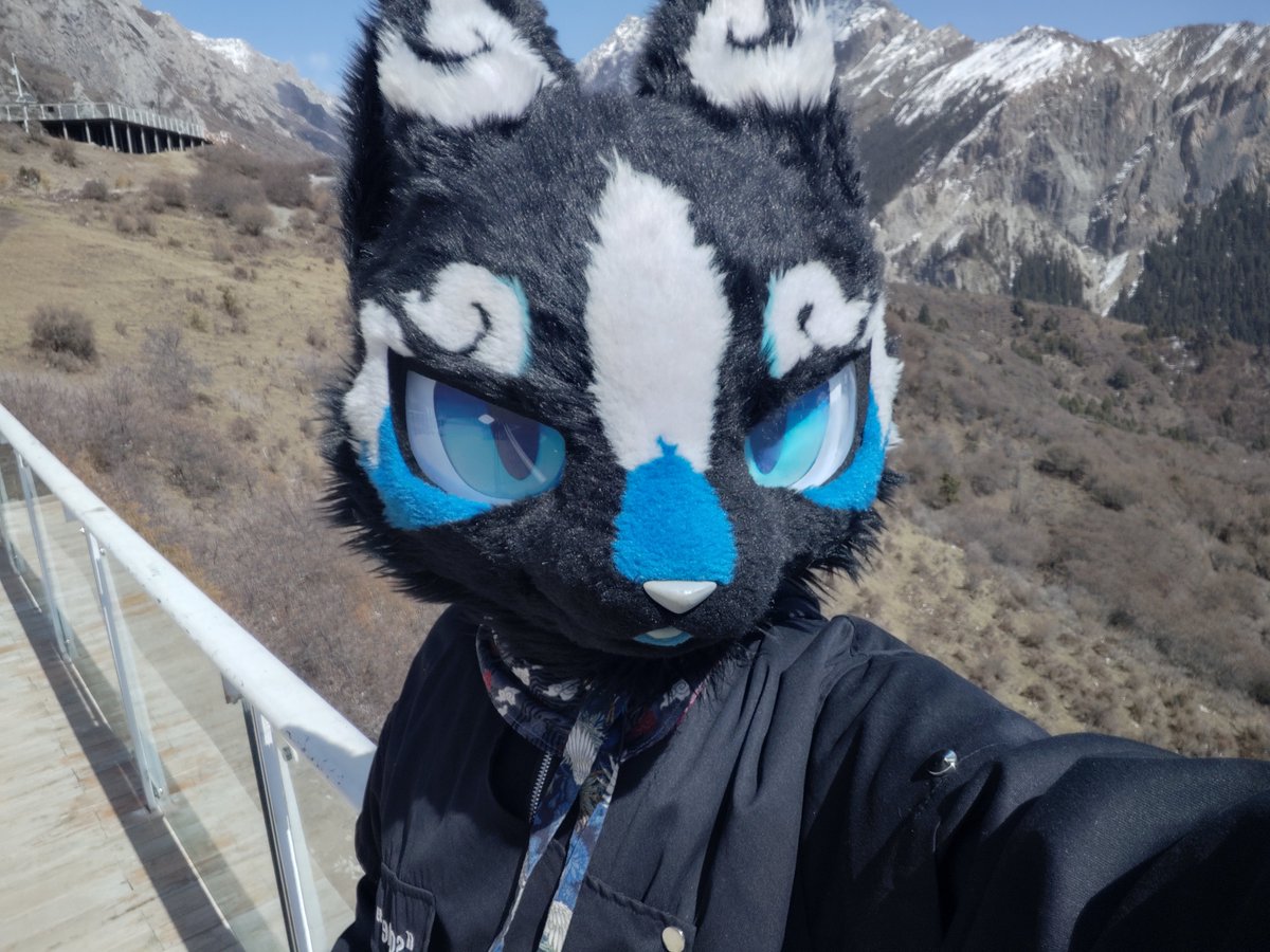 MROSEclipse's tweet photo. ＃FursuitFriday
------------------ 
達西觀景台
------------------
🌙@MROSEclipse https://t.co/D02jW053ts