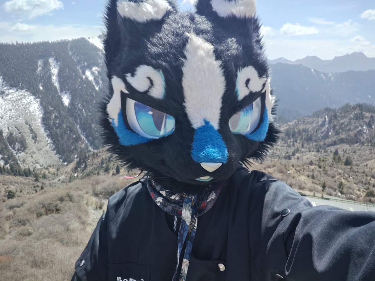 MROSEclipse's tweet photo. ＃FursuitFriday
------------------ 
達西觀景台
------------------
🌙@MROSEclipse https://t.co/D02jW053ts