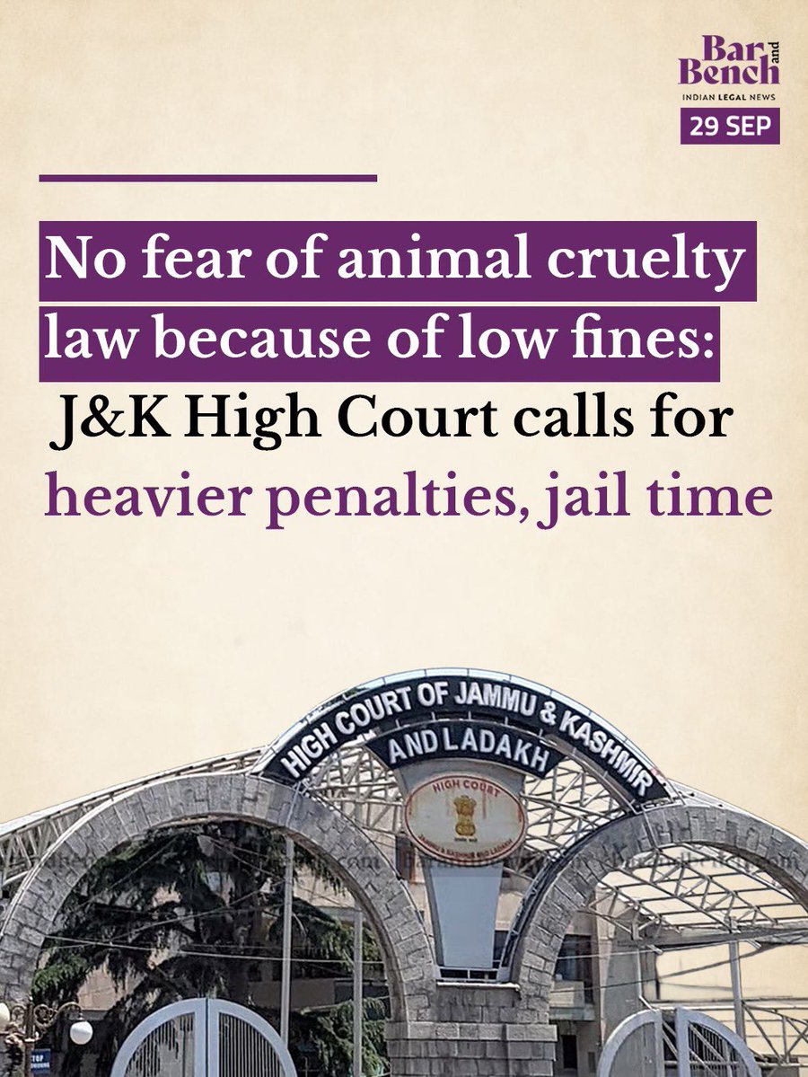 barandbench's tweet photo. No fear of animal cruelty law because of low fines: J&amp;K High Court calls for heavier penalties, jail time

Read here: https://t.co/KgHMrKZMuK https://t.co/G5TqXgdzoj