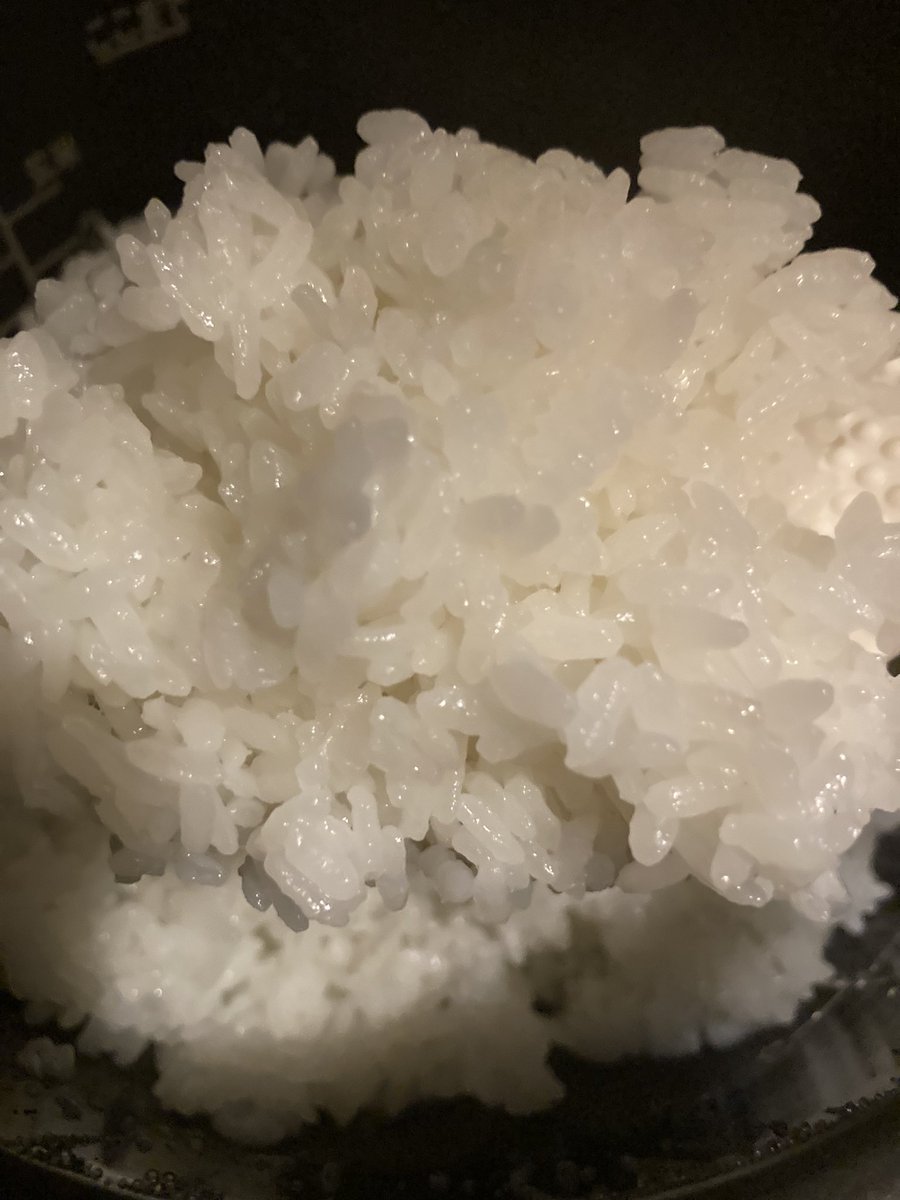 aki_VD's tweet photo. 今年も南魚沼産の新米コシヒカリで塩おむすび。
カブの葉のジャコ炒めと一緒に食べても美味しいです。
#煮込みやまる https://t.co/Osf5TfYJlk