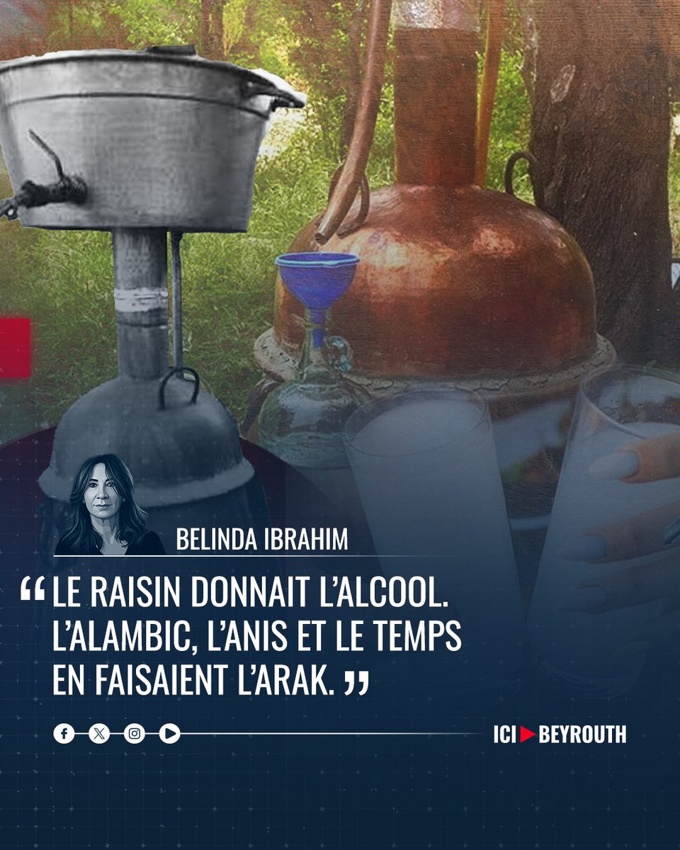 Icibeyrouthnews's tweet photo. Comment le #raisin fermenté devenait-il #arak ?

Au #Liban, la distillation suivait les #vendanges : plusieurs passages dans l’#alambic, ajout d’anis, puis repos en jarre. Un savoir saisonnier devenu aujourd’hui une véritable filière.

Lisez l’article de Bélinda Ibrahim dans son intégraité via le lien: https://t.co/AdmfKeyZkY