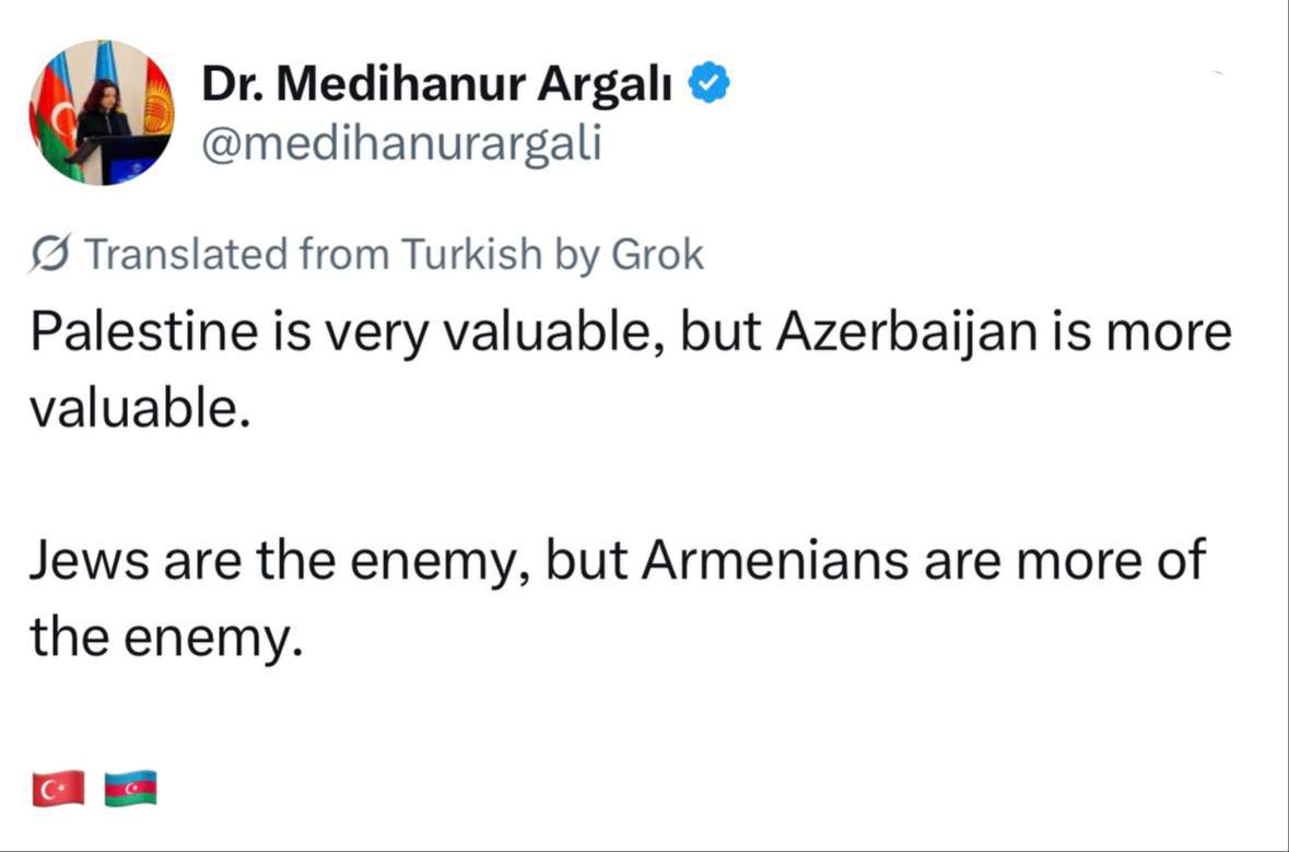 MakichyanA's tweet photo. Reading Turkish tweets in translation sometimes feels like opening a new chapter of Mein Kampf. https://t.co/e4jKVfKjqO