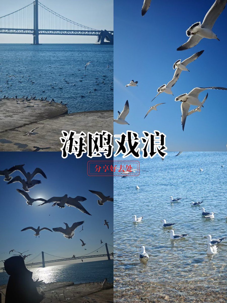 irzanila's tweet photo. [Shoutout to the hardworking Haocan, the lovely Ou, Cai and all the little egrets by the seaside, may your days be full of warmth and small joys!]， https://t.co/OHOcAHD2ie