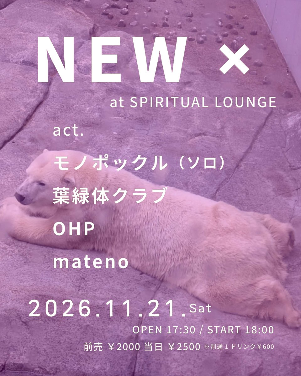 spirituallounge's tweet photo. 🆕SPIRITUAL LOUNGE 新着ライブ🆕

2026/11/21(土)

【 NEW× 】

▼出演
モノポックル（ソロ）@monopockle
葉緑体クラブ @youryokutai9 
OHP @o_h_p_
mateno @matenogn 

OPEN 17:30 / START 18:00
前売り￥2000　当日￥2,500
※別途1ドリンク￥600

▼予約
各出演者 or スピリチュアルラウンジまで https://t.co/gW9jbzOA6H