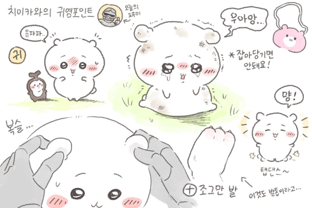cute_middle_age's tweet photo. 햄냥토 귀염포인트 https://t.co/RnGpp3YCqa