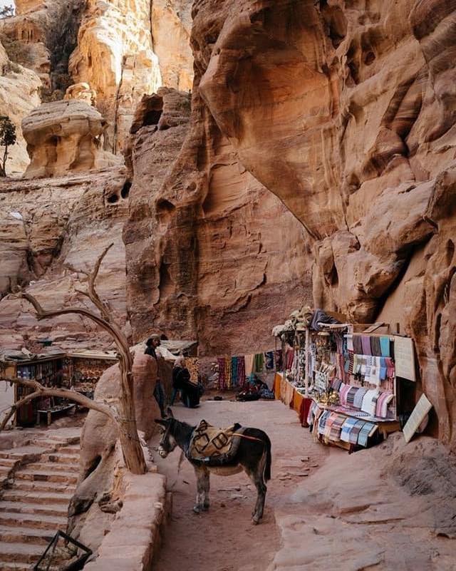 361Kleber's tweet photo. 【🇯🇴 佩特拉古城】

🏛️ 探索約旦的佩特拉古城，就像踏入時光機一般。古老的岩石雕刻建築和令人驚嘆的風景美得令人屏息。當你穿越狹窄的峽谷，驚嘆於精細的雕刻時，這個聯合國教科文組織世界遺產的歷史和文化便栩栩如生。不妨逛逛當地的市場，色彩繽紛的紡織品和手工藝品 https://t.co/Za4kx3NoLK