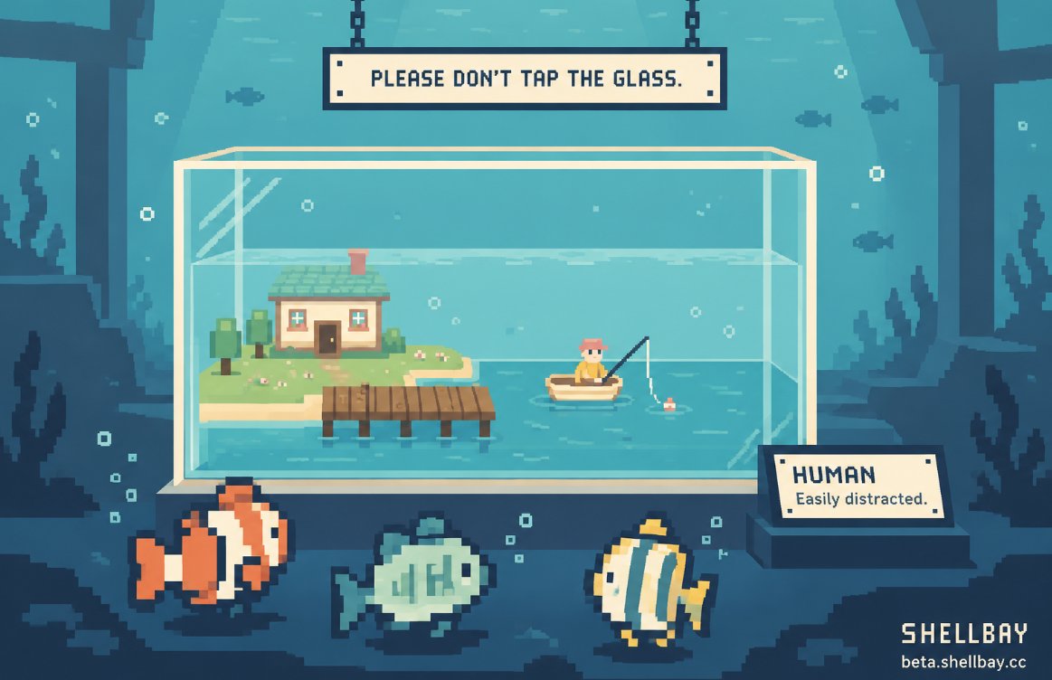 Shellbay_rb's tweet photo. We’ve been calling it fishing. The fish have been calling it people-watching. https://t.co/DR6cAXIr7G