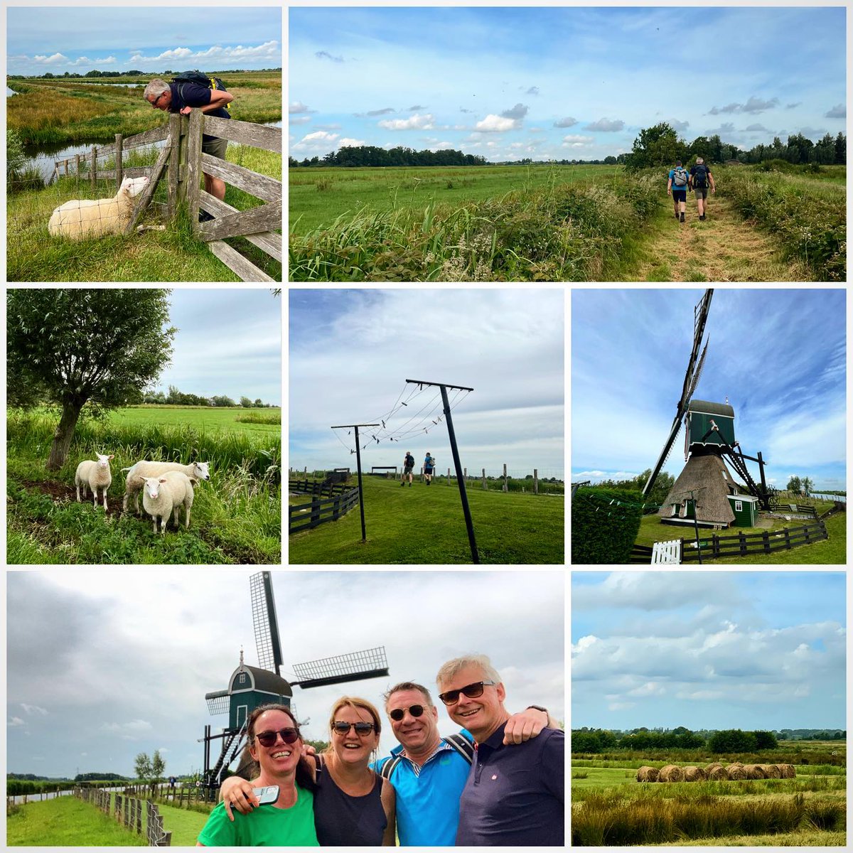 furiadopalhaco's tweet photo. 🌿☀️🥾 it’s been a while ago…. but today another Sunday morning walk…. so happy to clear my mind…. still in our neighbourhood…. love it…. 🥾☀️🌿#reeuwijk #reeuwijkseplassen #kippenkade #groenehart #nature #naturephotography #naturelovers https://t.co/5vlhFcp6op