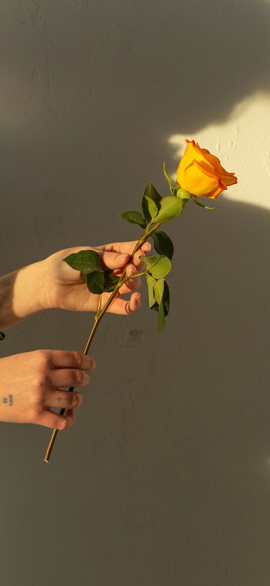 trist_flux797's tweet photo. [The thorn pricks, fear lurks, but courage pushes me forward—small wins light up dark paths]， https://t.co/QlAVEUMGNt