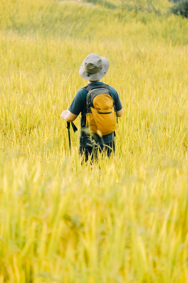 Ihsan281212's tweet photo. "Facing life's rough 坷, stay strong and 赴 forward with 偃-hearted courage, 糯 let small joys shine bright! "， https://t.co/TT02TKPrQu