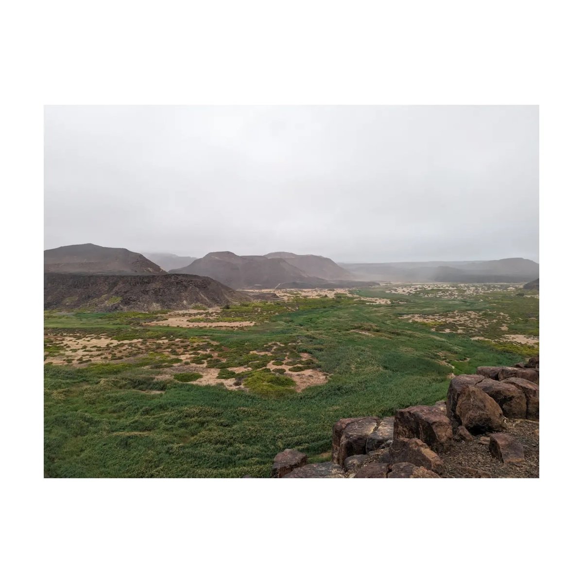 DedeAndrezinho's tweet photo. Huab... #namibia #namibiaroadtrip #huab #huabriver #riverbed #flussbett #offroad #natur #photograhy #landschaft https://t.co/eXEkT4IkSJ