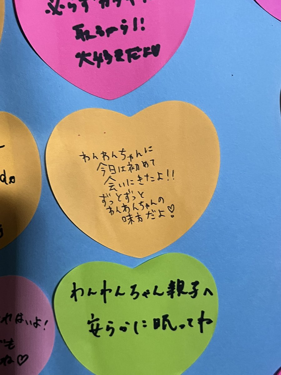 nooshiiaka's tweet photo. 昨日は旺旺達みーこちゃん、牛猫ちゃん達の静岡追悼式に参加しました。　旺旺ちゃんに初めて会いに行って、メッセージを書きながら泣いてしまった😢お花やおもちゃやお菓子が沢山供えられて、お経が読み上げられ合掌して旺旺ちゃん達に思いをはせました。
主催者の方も、許せない思いで皆さんと↓ https://t.co/i4mgcQJEbj