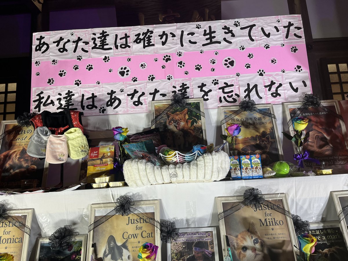 nooshiiaka's tweet photo. 昨日は旺旺達みーこちゃん、牛猫ちゃん達の静岡追悼式に参加しました。　旺旺ちゃんに初めて会いに行って、メッセージを書きながら泣いてしまった😢お花やおもちゃやお菓子が沢山供えられて、お経が読み上げられ合掌して旺旺ちゃん達に思いをはせました。
主催者の方も、許せない思いで皆さんと↓ https://t.co/i4mgcQJEbj