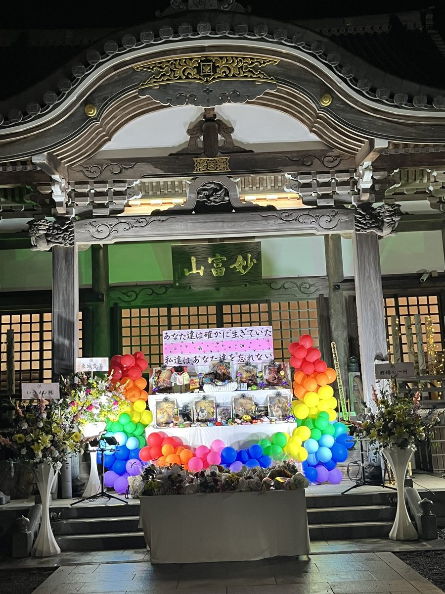 nooshiiaka's tweet photo. 昨日は旺旺達みーこちゃん、牛猫ちゃん達の静岡追悼式に参加しました。　旺旺ちゃんに初めて会いに行って、メッセージを書きながら泣いてしまった😢お花やおもちゃやお菓子が沢山供えられて、お経が読み上げられ合掌して旺旺ちゃん達に思いをはせました。
主催者の方も、許せない思いで皆さんと↓ https://t.co/i4mgcQJEbj