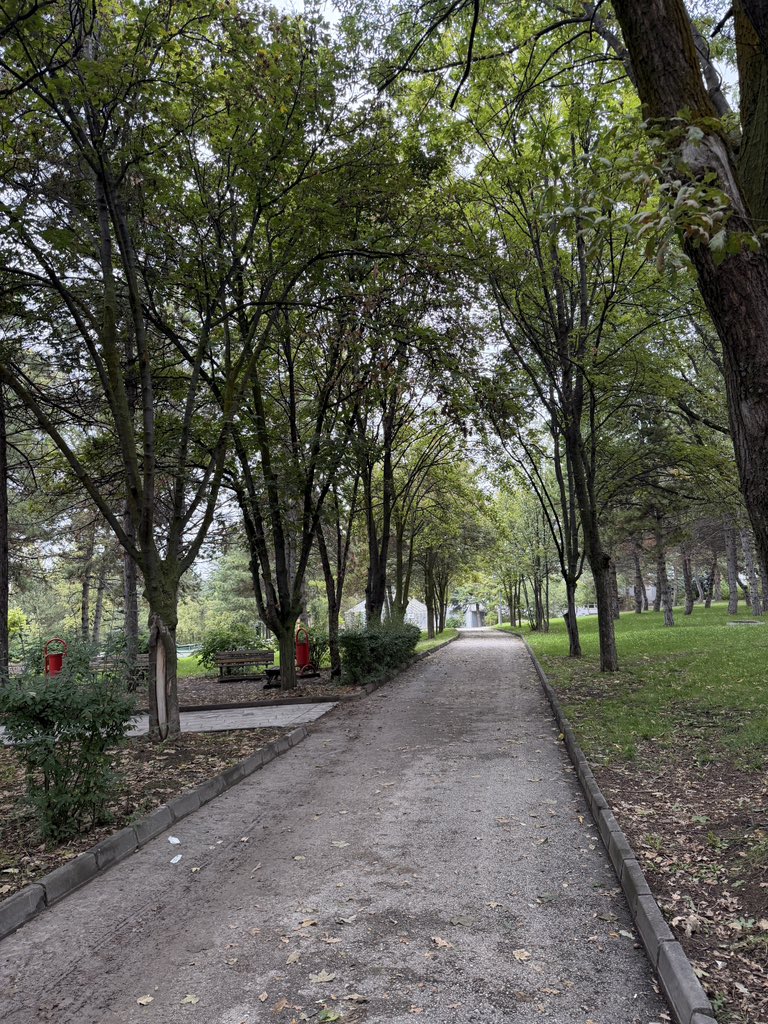 IvoryLedgerr's tweet photo. Ankara bugün Ankaraliyor,Beytepe Beytepeliyor. https://t.co/Axk5uudbsx