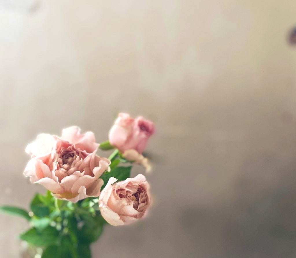 kotorihanaten's tweet photo. ʟᴇ ʀᴏᴜʟᴇ ᴍᴀɢɪᴄ ᴇɴ ꜰʟᴇᴜʀ
ᴅᴀɴꜱ ʟᴇꜱ ᴛᴇɪɴᴛᴇꜱ ᴅᴇ ʟ’ᴀᴜᴛᴏᴍɴᴇ       * https://t.co/Cu4HsKQnnj
