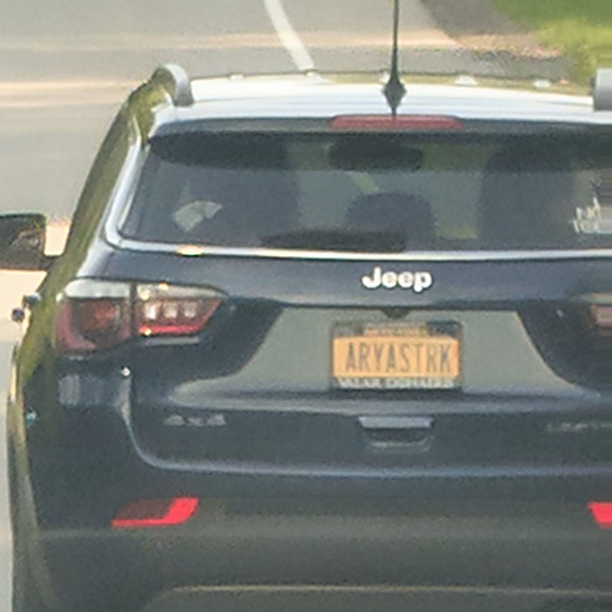 phriendtj's tweet photo. Spotted on Armor Duell's Rd  2 miles South of Highmark Stadium, the home of the Buffalo Bills. We don't need to see another $30 vanity plate telling us "Winter is coming". https://t.co/EgkO88HIhr