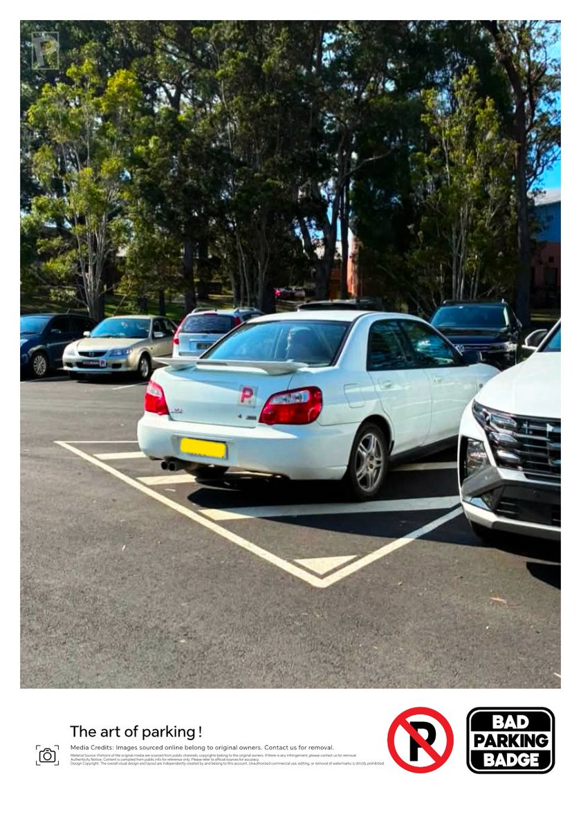BadParkbro's tweet photo. Bad parking🥚🥚 https://t.co/YD86AV9R0u