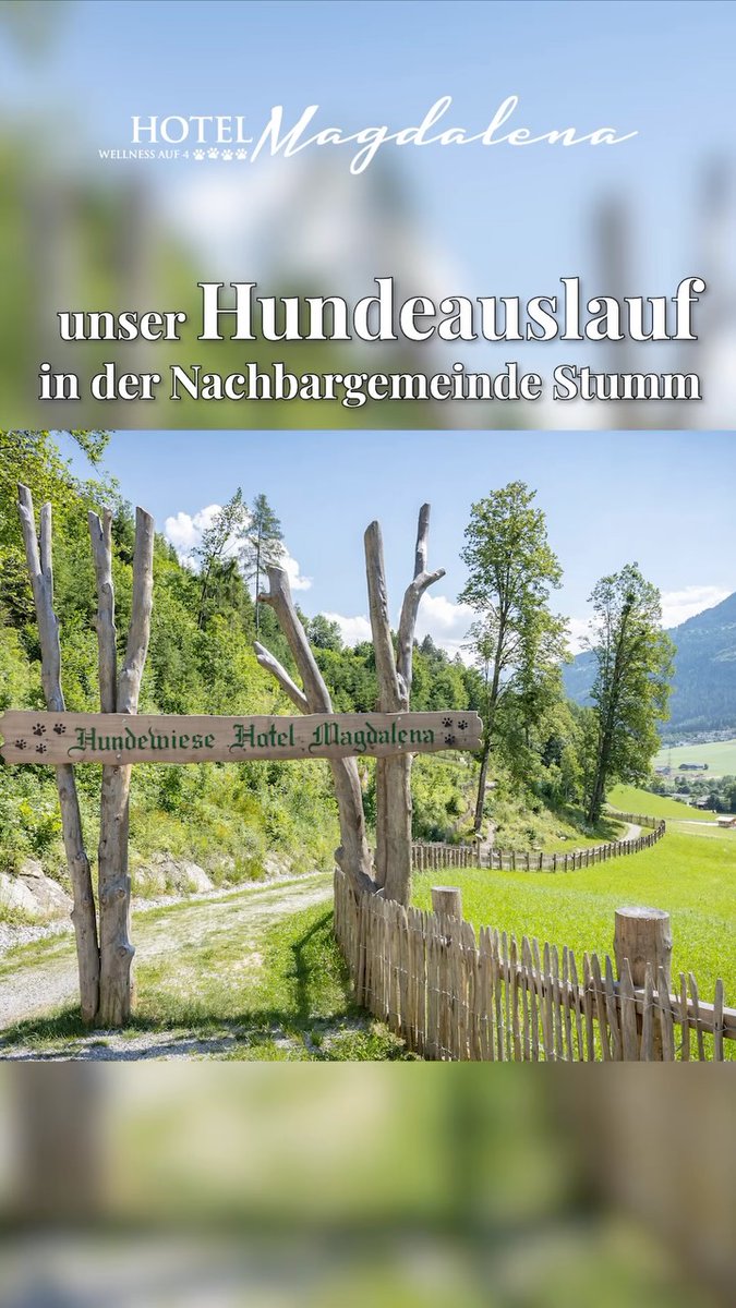 Sandriellen5's tweet photo. Hundeauslauf in der Nachbargemeinde Stumm 🐶😊

Auf über 5. 000 m² sicher eingezäunter Fläche können sich Ihre Hunde nach Herzenslust austoben, spielen und frei bewegen. Für besonders sensible Vierbeiner steht ein separater, ebenfalls eingezäunter https://t.co/m1C5XL1eCI
