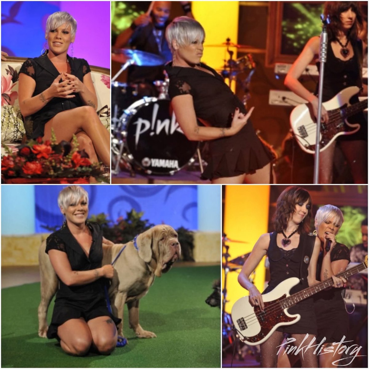 PinkHistory tweet picture