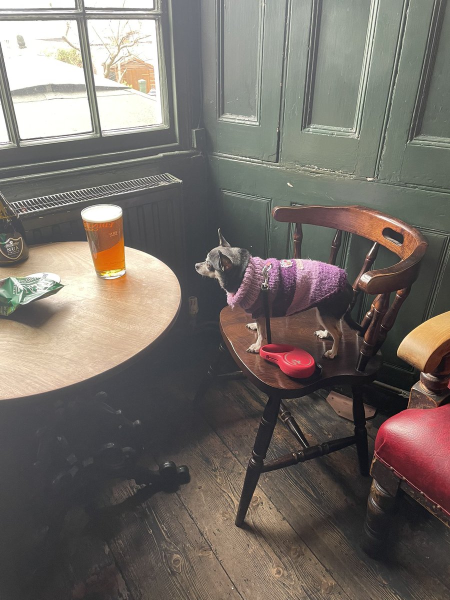 IanCallaway352's tweet photo. @SimonDanczuk @cliveinkent Molly the far right chihuahua says huzzah to the great British pub. And ya boo sucks to the gainsayers of the left. To bowdlerise the words of #PGWodehouse, it is never difficult to distinguish a ray of sunshine from a socialist with a grievance. https://t.co/KwMcvW1DlC
