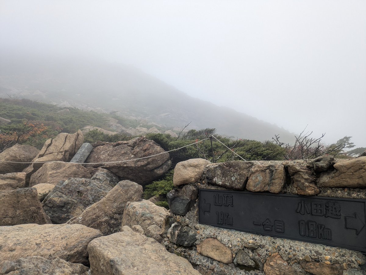 kerela9ma's tweet photo. 東北紅葉登山🍁day2
☁早池峰山🌀強風とガスにより1合目で撤退。こうなるとわかってるのに、舗装路と樹林帯だけでも歩きに行くって頭オカシイ🥹 https://t.co/BCX1Xhk16c