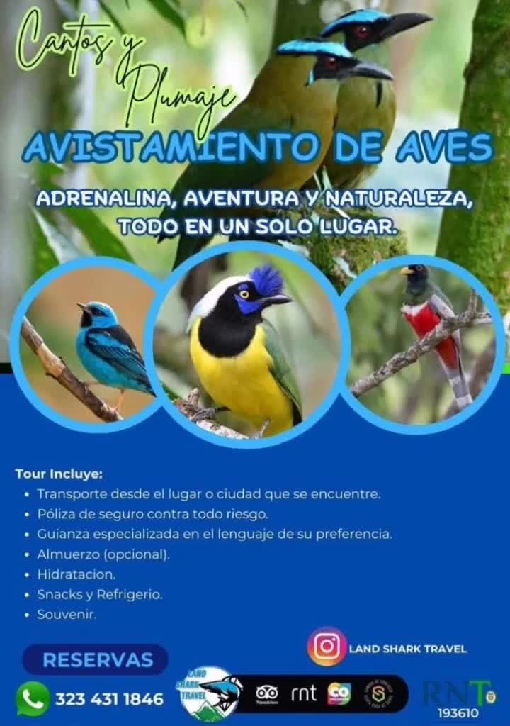 ivbancapo's tweet photo. 323 431 1846 Book Now https://t.co/I8GRPunYwh