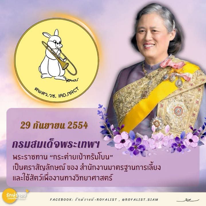 Sf401401's tweet photo. 💜🐰🎺29 กันยายน 2554 กรมสมเด็จพระเทพฯ พระราชทาน “กระต่ายเป่าทรัมโบน” เป็นตราสัญลักษณ์ ของ สำนักงานมาตรฐานการเลี้ยงและใช้สัตว์เพื่องานทางวิทยาศาสตร์🎺🐰💜 https://t.co/NZUsyuXNUs