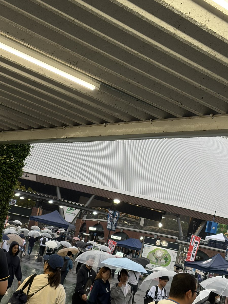 pupasu22147's tweet photo. 今、球場前で引いたら初めて出てびっくり
これは今日球場でいっぱい見れるということでしょ！！
勝ちましょ！！！！

#seibulions https://t.co/YrADE3N3XR