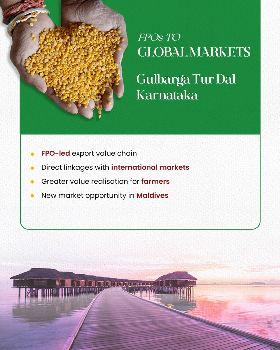 APEDADOC's tweet photo. From Karnataka to the Maldives, GI-tagged Gulbarga Tur Dal is taking a step towards global markets. 🌏

A 1 MT export consignment was flagged off, creating new market access for Karnataka’s renowned Tur Dal and strengthening farmer-to-global-market linkages.

#DOC_GOI #APEDA #GulbargaTurDal #TurDal #GIProducts #Karnataka #AgriExports #IndiaExports #FromFarmToWorld

@DoC_GoI @PIB_India