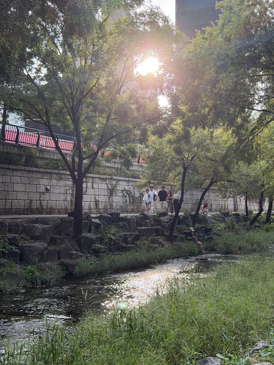dosun___on's tweet photo. 을지로에서 콘부 봉골레라멘 챱 먹구 차지 한잔 사서 청계천에서 수다떨기 🚶‍♀️🚶‍♀️🍃 https://t.co/yVQA4SQFJ8