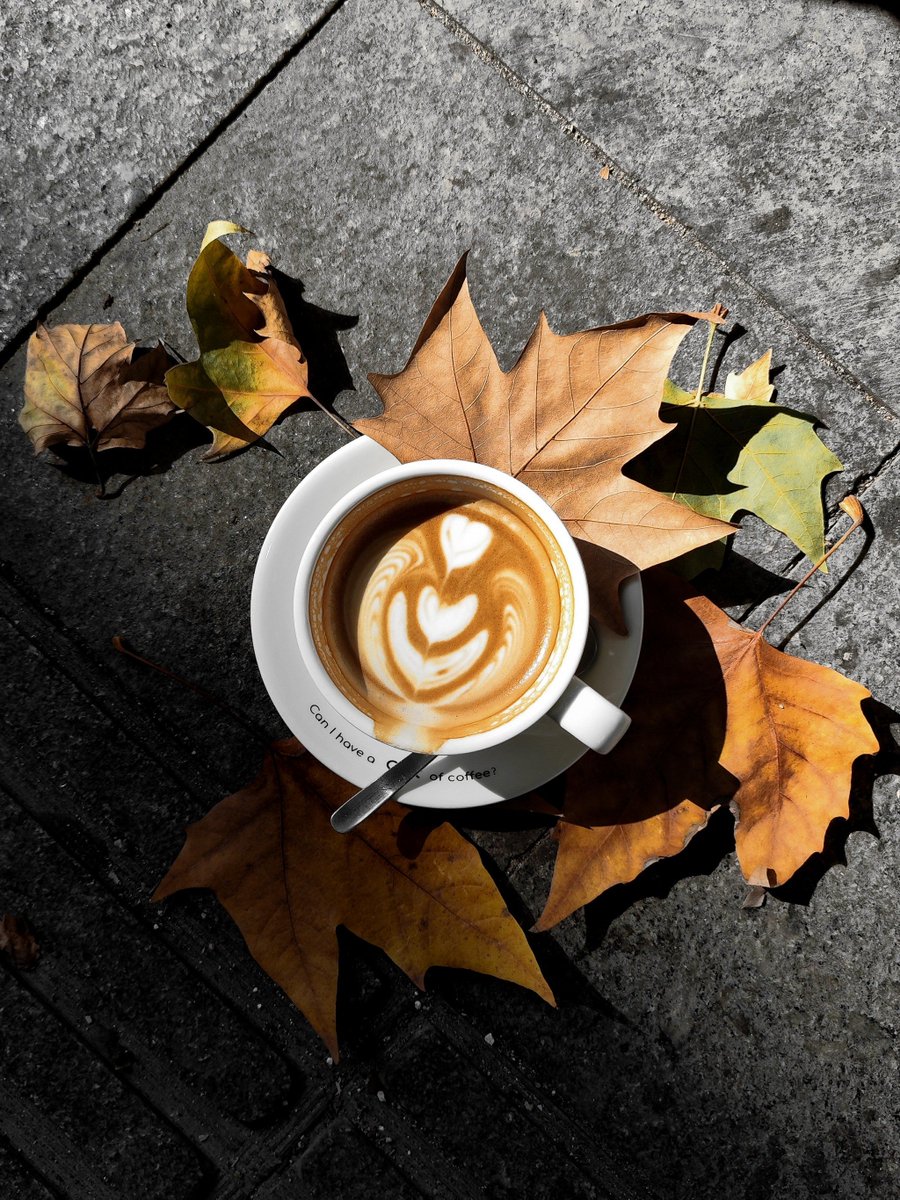 henryhana404917's tweet photo. [Sunny autumn afternoon is perfect for a walk with a warm pumpkin latte ] https://t.co/nb4ZuMahdR