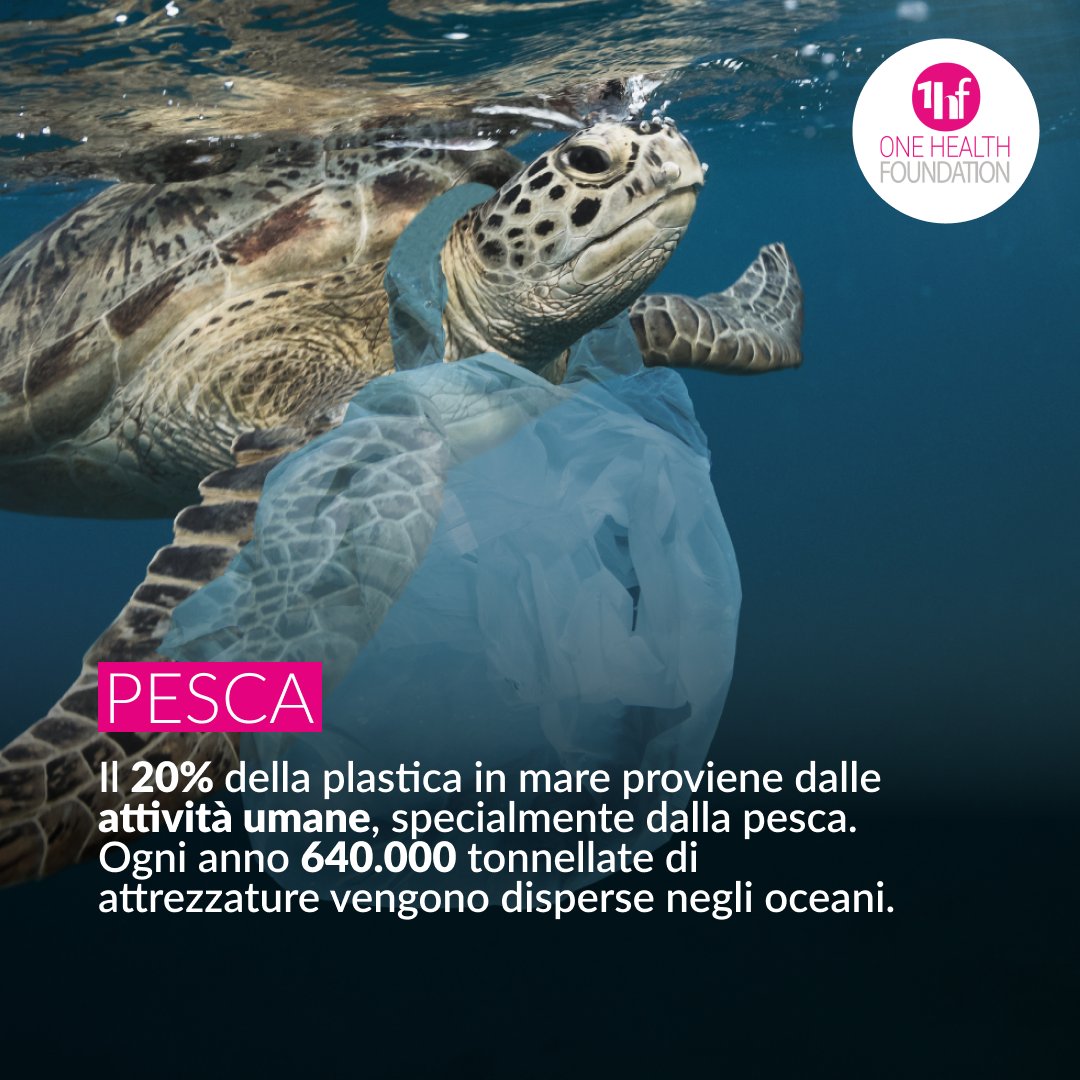 onehtfoundation's tweet photo. Ogni anno, finiscono in #mare 8mln di tonnellate di #plastica e vengono colpite circa 700 specie marine. Fermare la situazione è possibile puntando su un’economia circolare concentrata sulla riduzione dei consumi, su un corretto #riciclo e sulla ricerca di materiali alternativi. https://t.co/v13BQtd5NS