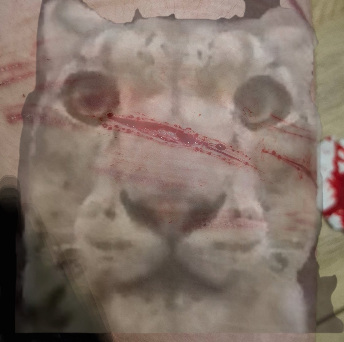 jajkafan's tweet photo. ALL FAKE! SFX VERY REALISTIC MAKEUP!!!
#sh #shtwt #makeup #SFX
OMG I've never been so deep, it's so big (I was hoping for beans but it's nothing there😞) https://t.co/VPl0C3OfQk