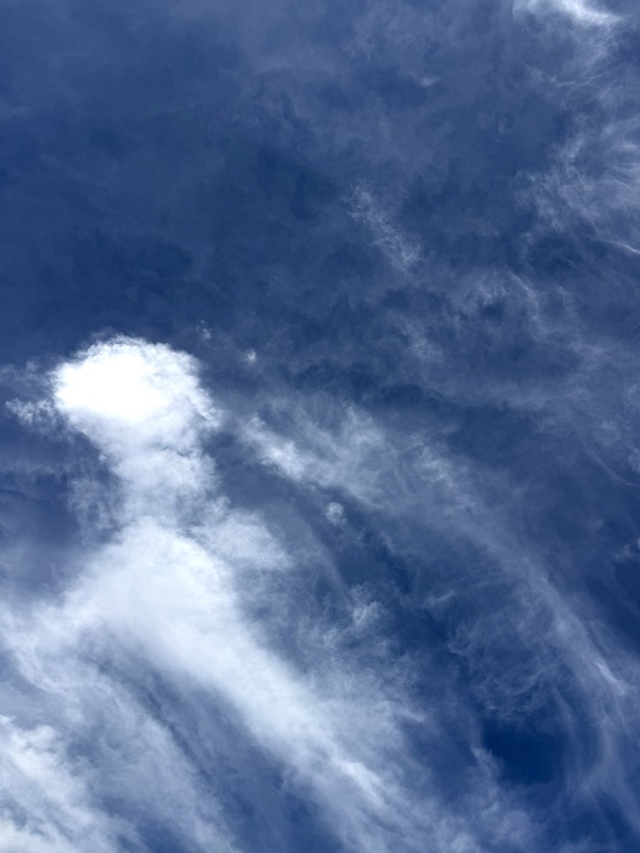 M_AdelMD's tweet photo. Today’s sky is a canvas painted with delicate, sweeping brushstrokes https://t.co/itaKMgeJcY