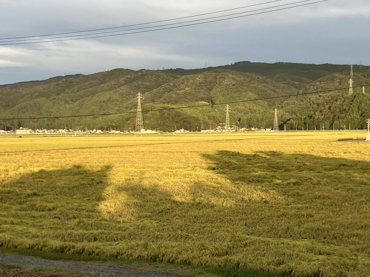 miyateken's tweet photo. 田んぼがさっぱり刈れませぬ。 https://t.co/BGuqJXVP9V