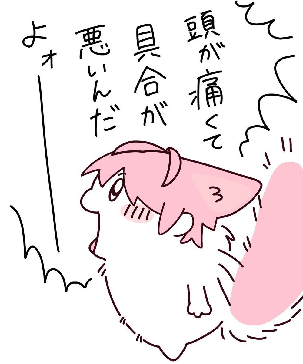 teruto_sub's tweet photo. ずーっと雨で具合が悪いんだよォーーーーーーーーーー！！！！！！！ https://t.co/ygSKfRZVMJ