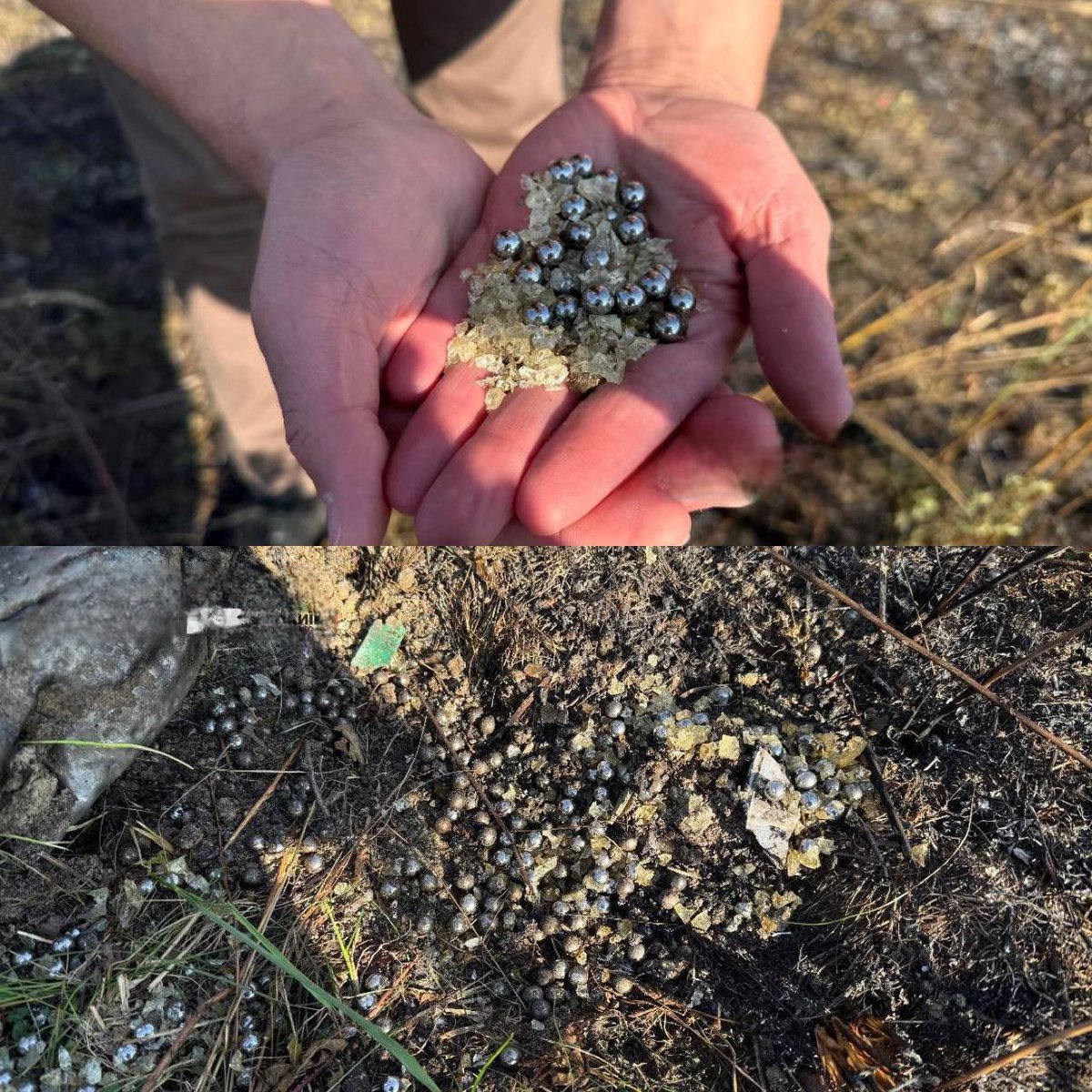 CrimeanVoyager's tweet photo. russia is packing Shaheds with shrapnel to maximize harm to civilians.

A Shahed that fell in the Kyiv region today was packed with metal balls, designed to turn the blast into a deadly shower of fragments.

This isn’t the first time. A deliberate tactic of terror.

A war crime. https://t.co/hdJvrSQUID