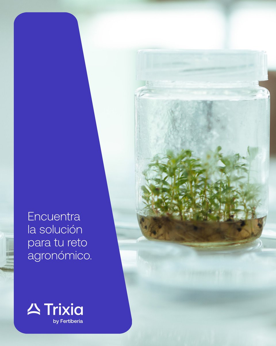 Trixia_bio's tweet photo. En Trixia estructuramos nuestra oferta de residuo cero en 3 áreas de impacto del cultivo: Soil Health, Plant Health y Plant Performance.

Fortalecemos el sistema suelo-planta para optimizar el rendimiento de cada cosecha. 

#Trixia #Fertiberia https://t.co/3z64Aq77vi
