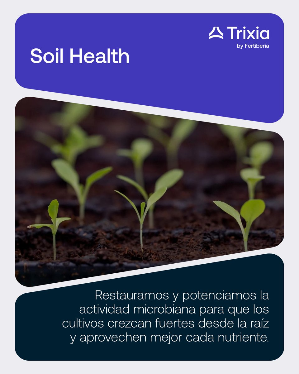 Trixia_bio's tweet photo. En Trixia estructuramos nuestra oferta de residuo cero en 3 áreas de impacto del cultivo: Soil Health, Plant Health y Plant Performance.

Fortalecemos el sistema suelo-planta para optimizar el rendimiento de cada cosecha. 

#Trixia #Fertiberia https://t.co/3z64Aq77vi