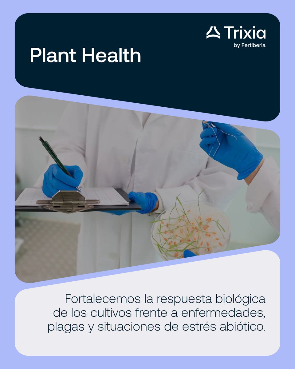 Trixia_bio's tweet photo. En Trixia estructuramos nuestra oferta de residuo cero en 3 áreas de impacto del cultivo: Soil Health, Plant Health y Plant Performance.

Fortalecemos el sistema suelo-planta para optimizar el rendimiento de cada cosecha. 

#Trixia #Fertiberia https://t.co/3z64Aq77vi