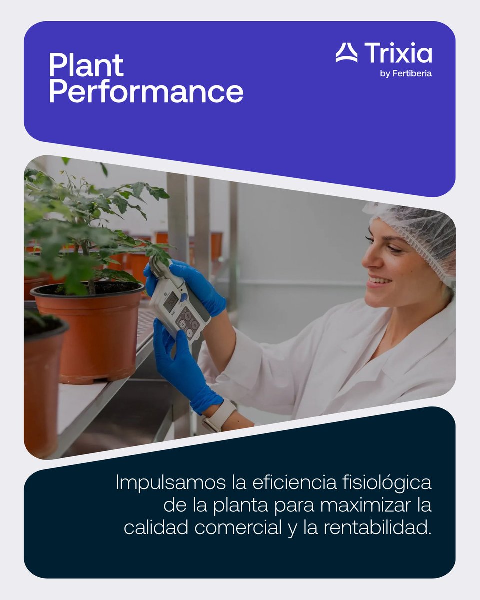 Trixia_bio's tweet photo. En Trixia estructuramos nuestra oferta de residuo cero en 3 áreas de impacto del cultivo: Soil Health, Plant Health y Plant Performance.

Fortalecemos el sistema suelo-planta para optimizar el rendimiento de cada cosecha. 

#Trixia #Fertiberia https://t.co/3z64Aq77vi