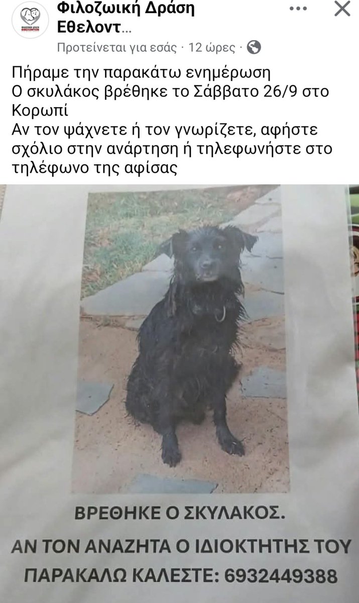 KatKatPt's tweet photo. 🆘️🆘️🆘️
Βρέθηκε ο σκυλακος στο Κορωπί 
Τον αναζητεί/αναγνωρίζει κανείς;
Για οποιαδήποτε πληροφορία καλέστε στο τηλ 
Rt 🙏 🙏 🙏 https://t.co/9a8uVxRyXK