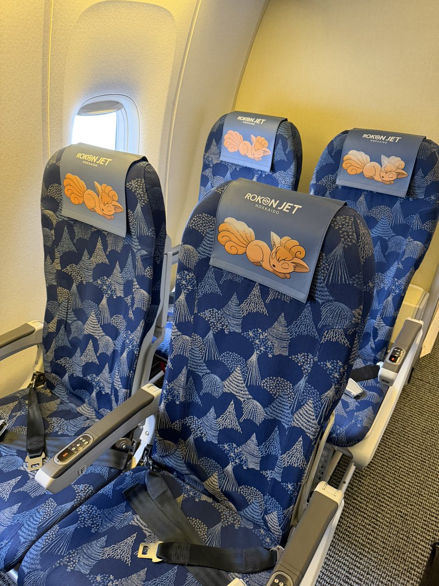 kouki_shaku8's tweet photo. 今日から3日間北海道！
飛行機が可愛すぎました🦊 https://t.co/QHuuRh26xH