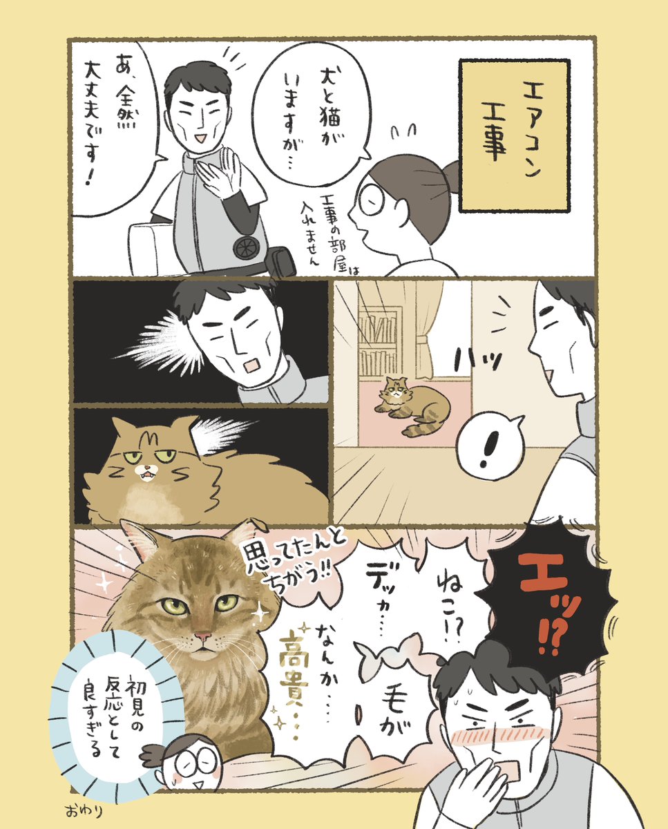 bana_wanko's tweet photo. 初見の反応は栄養 https://t.co/kLTjYycT5U